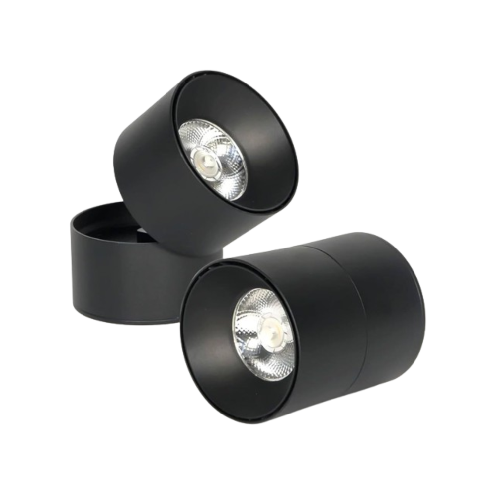 Adjustable LED Surface COB Light