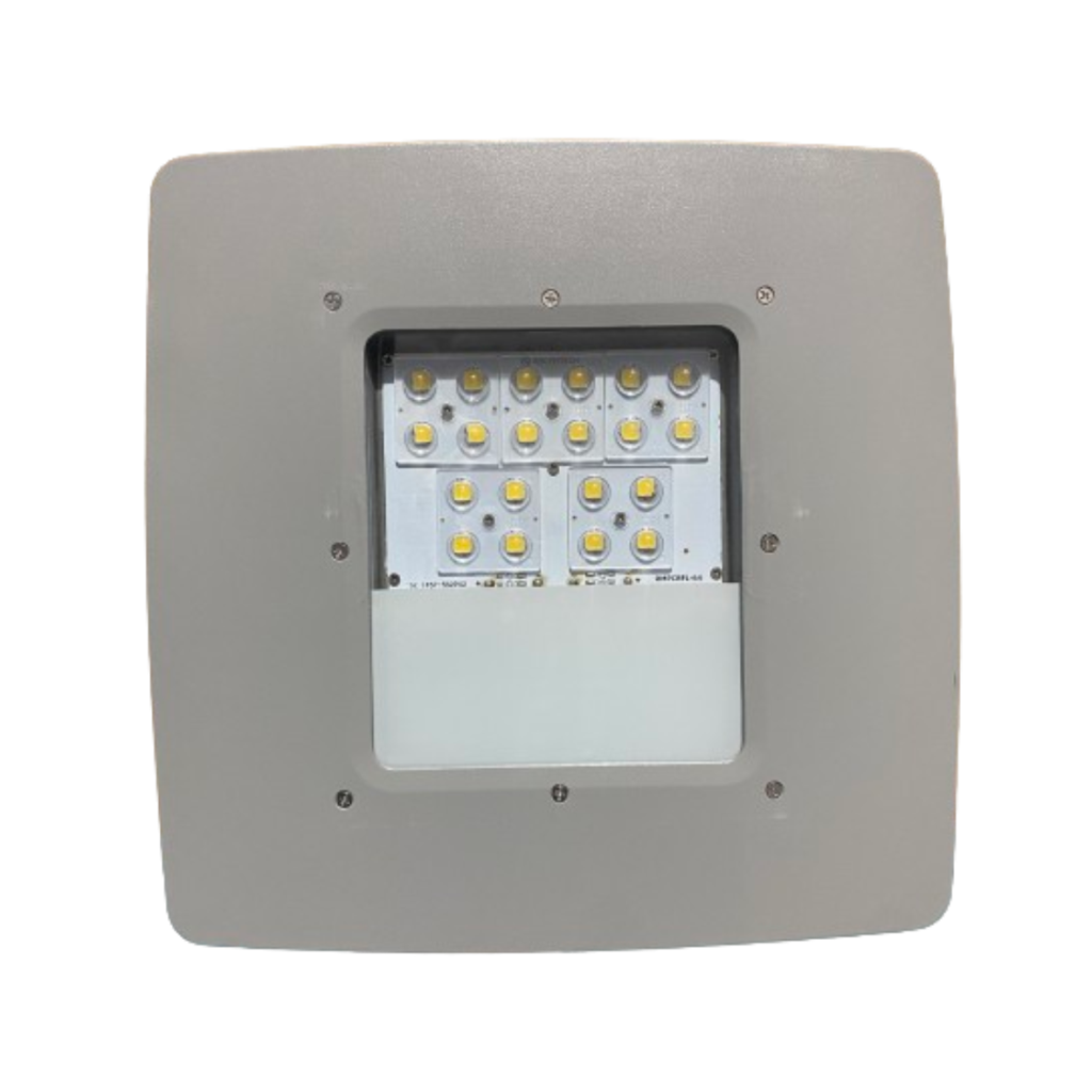 Canopy Flood Light