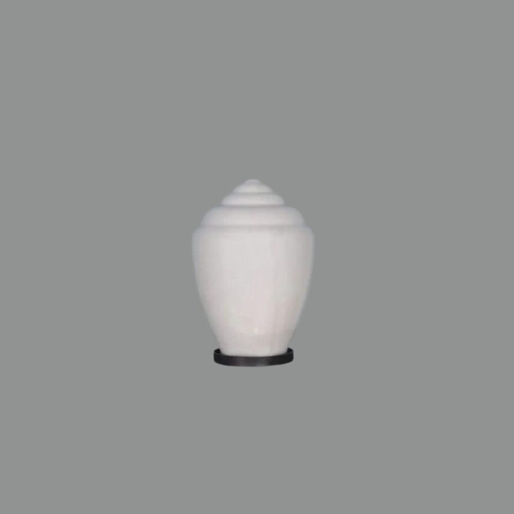 Ascentech Gate Light